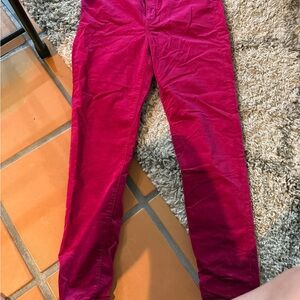 Banana Republic Hot Pink Trousers. Velvet size 31